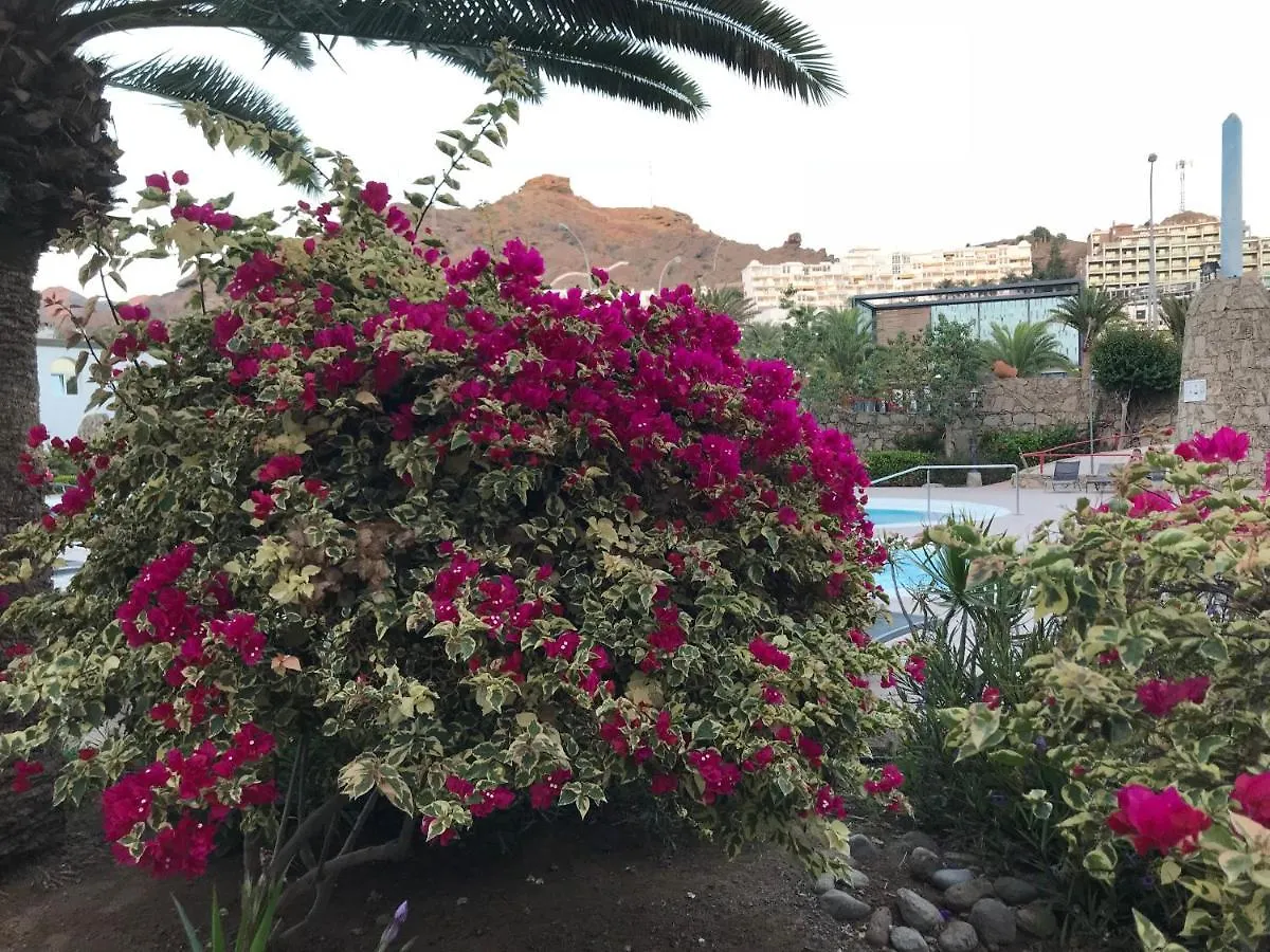 Amazing Apartment - Pool And Garden - Beach At 50 Mt, Playa Del Cura  Spanien